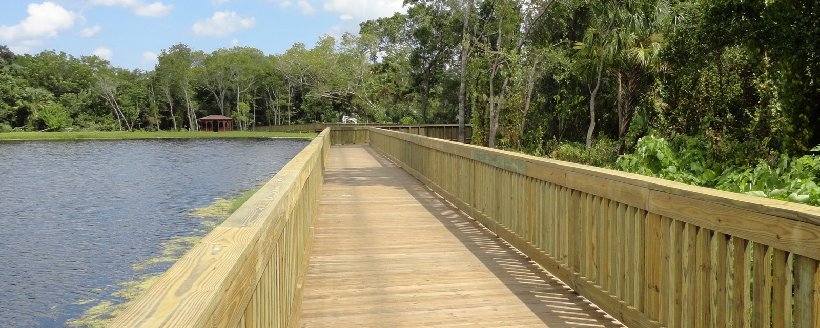 Brevard County Senior Center Trail and Regional Stormwater Facility DRMP